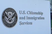 immigration image