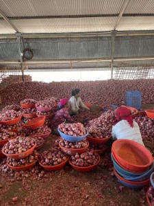 The famous Lasalgaon onions of Maharashtra, that's high on the campaign agenda.